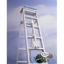 Climb The Ladder To Success