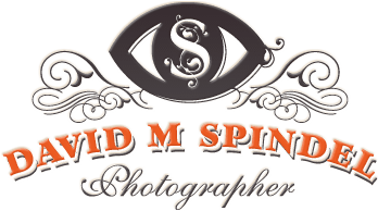 David Spindel Logo